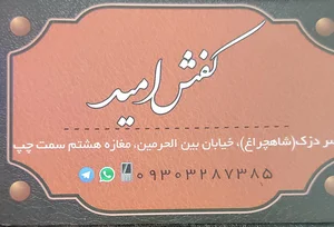 کفش مهرداد 5