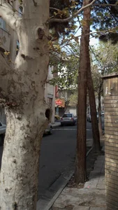ایستگاه برگر