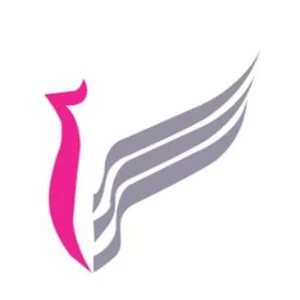 گروه آتیه اندیشان آرنیکا