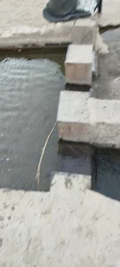 سه لعله