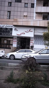 مسکن هادی 2