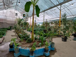 بازار گل سنندج (باغ استوائی)