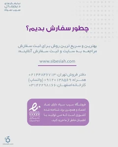 سیب سیاه 3