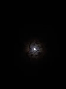 باغ پرندگان
