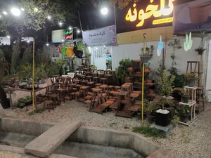 بلوط