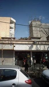 بانوی خاص گرین 2