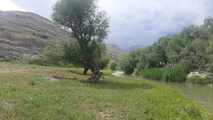 ماکو پارک جنگلی