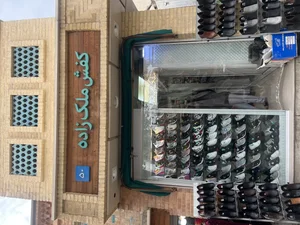 کفش ملک زاده 2