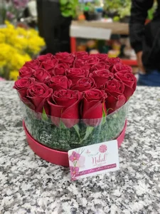 گلسرای نهال فتاحی