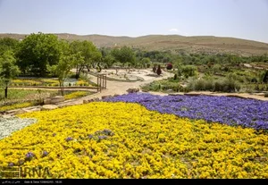 پارک گلها 2