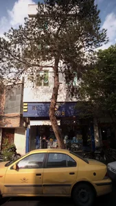 پارس یدک 3