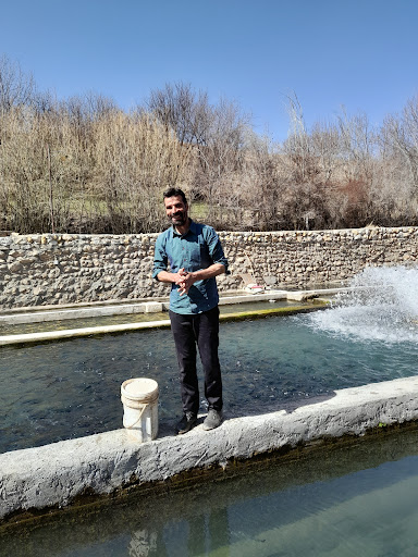 یاقوت ماهی سهرورد
