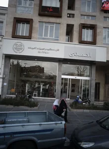 قفل و دستگیره احمدی 2