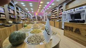 شهر آجیل و خشکبار سنه دژ