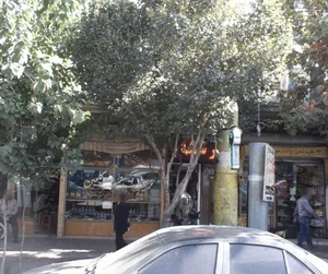 تزئینات گلچین 2