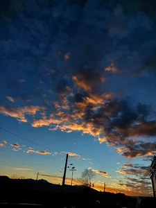 باربری آرکا