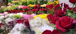 گل فروشی و سفارش گل مهرسو