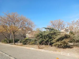 بوستان ماری جین 5
