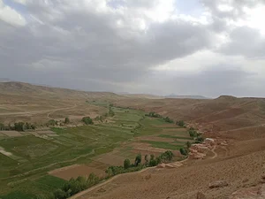 زرجوی