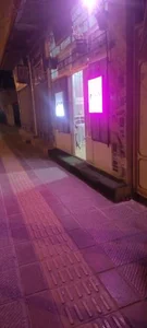 فست فود پالینا