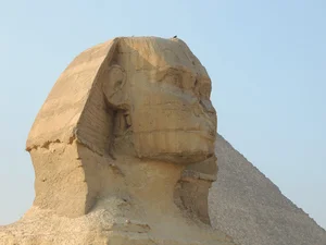 Tailor Sphinx Ladies
