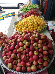 میوه فروشی ملک ری 4