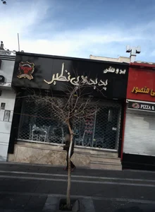 پروتئین پدیده بی نظیر 2