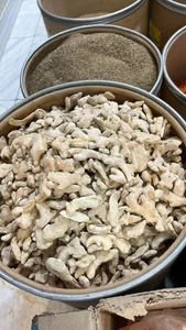 گیاهستان عمو( برزویی) 3