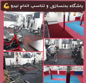 باشگاه ورزشی نیرو