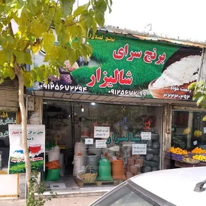 برنج فروشی شالیزار