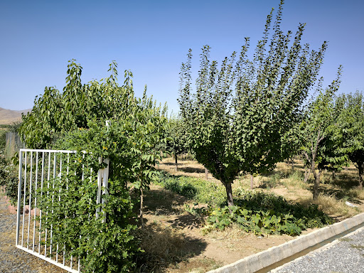 آستانه