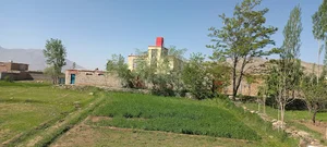Zaker afzali House