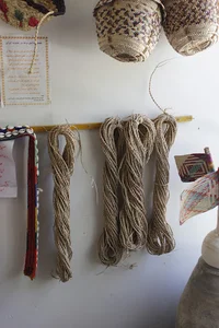 کاش و پیش بهمنی