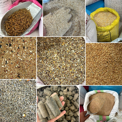 خوراک دام و طیور پارس