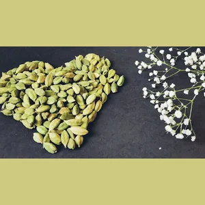 صنایع غذایی زنوس