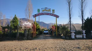 نهالستان گل و گیاه نرگس