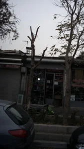 شیشه خانه سبز