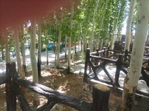 پارک ملت سنندج 2