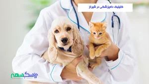 کلینیک دامپزشکی دکتر پیمان فرهی