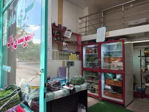 سبزی آماده سبزستان پاک 3