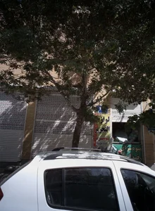 میوه سرای رضوان 2