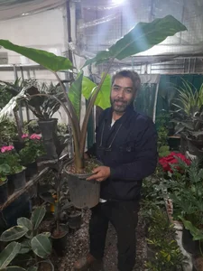 گل فروشی وطن خواه 2