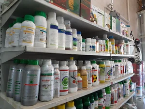 خدمات کشاورزی دهخدا