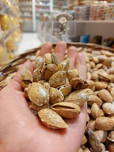 آجیل شاهکار