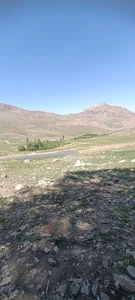 چشمه بیدی