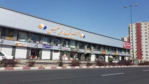 مجتمع تجاری گلدیس شال و روسری رز