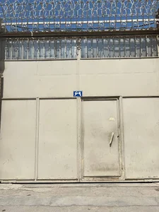 مس نگار