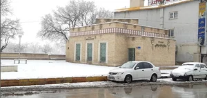 سرویس بهداشتی