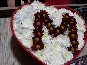 گل پردیس