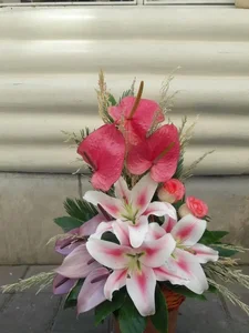 گل فروشی دنیز